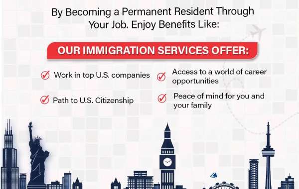 Professional Immigration Services: Your Gateway to Global Opportunities