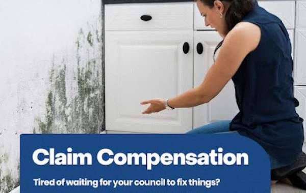 What are the key roles and benefits of working with housing disrepair experts when dealing with issues in rented propert