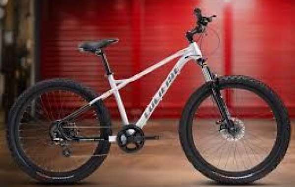 Unleash Your Cycling Potential with the Elante Alloy Bicycle Frame
