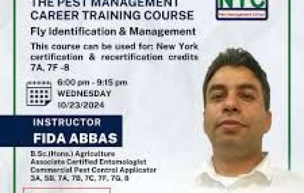 Understanding the Importance of Certification in Modern Industries