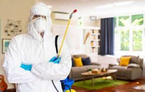 How to Become an Exterminator: A Step-by-Step Guide