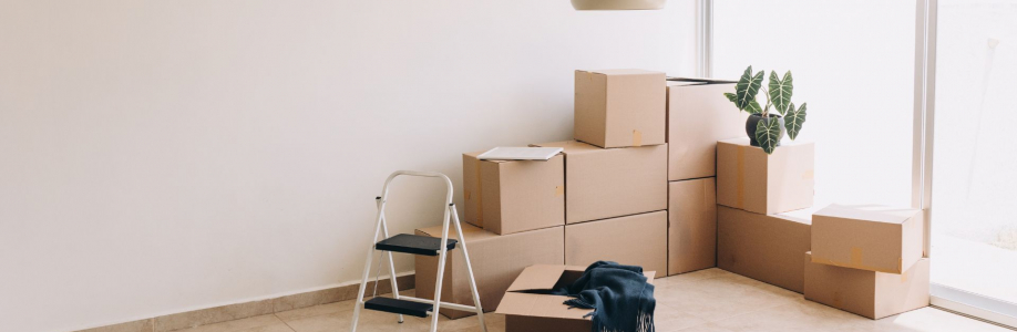 PRO Packers and Movers Cover Image