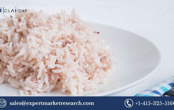 Global Rice Starch Market: Growth Analysis and Competitive Insights (2025-2034)