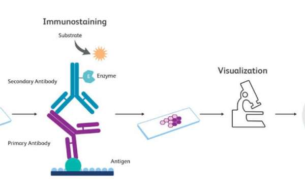 Immunohistochemistry Market  Report Includes Dynamics, Products, and Application 2024 – 2034