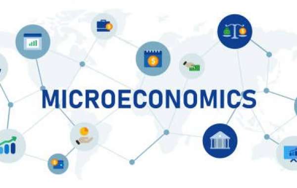 Why Opportunity Cost is Essential for Your Microeconomics Assignment Help