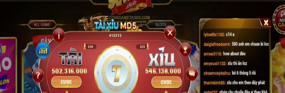 Taixiumd5 ing Cover Image