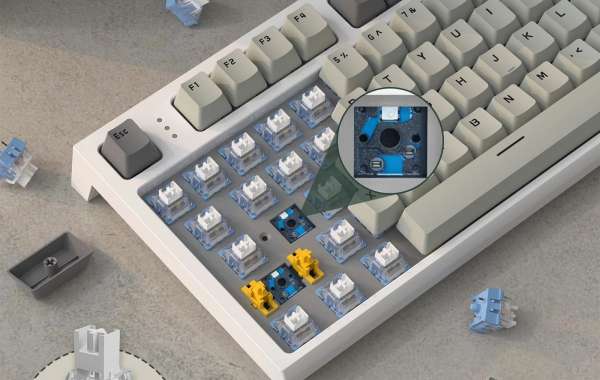 Clicky Keyboards: The Perfect Choice for Typing Enthusiasts