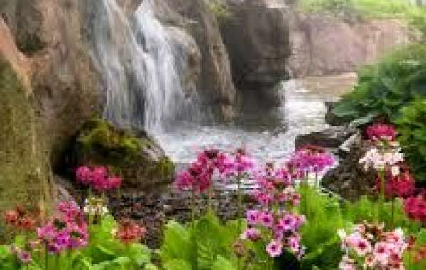 How Botanical Garden Waterfalls Enhance Relaxation and Well-being