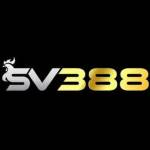 sv388rr com Profile Picture