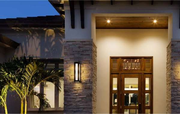 Why Wood Pivot Doors Are the Ultimate Design Trend in 2025 ✨?