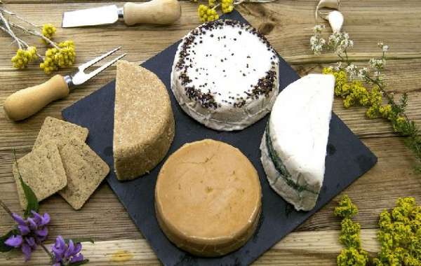Plant-Based Cheese Manufacturing Plant Project Report | Utility Requirements and Cost Involved