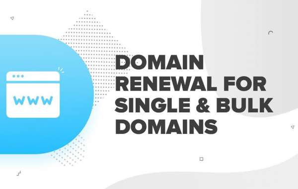Domain Renewal and Its Importance for Digital Marketing Success