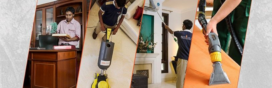 Themaids Cleaning Cover Image