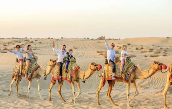 Evening Desert Safari in Dubai: Dune Bashing and Starry Nights