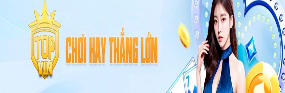 TOPVIN it com Cover Image