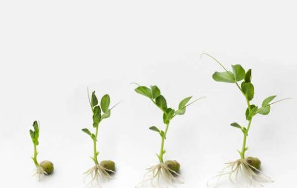 Grow Smarter, Not Harder: The Ultimate Hydroponic Tower for Effortless Gardening