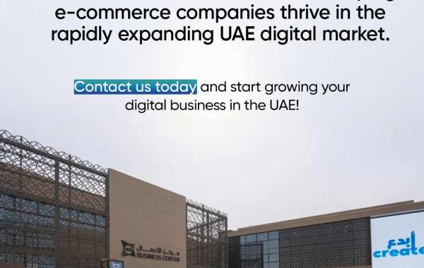 Unlocking Business Potential: A Guide to Free Zone Company Formation in Dubai