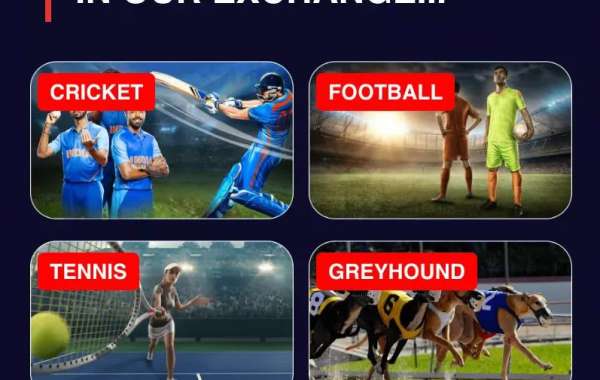 11xplay: The Ultimate Gaming Experience with 11xplay Pro & 11xplay Online