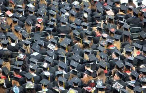 Doge Cuts $881 Million in Education Department Contracts Amid Agency Dismantling