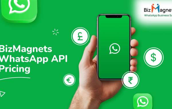 WhatsApp API Pricing vs. Value: Which Provider Offers the Best ROI?