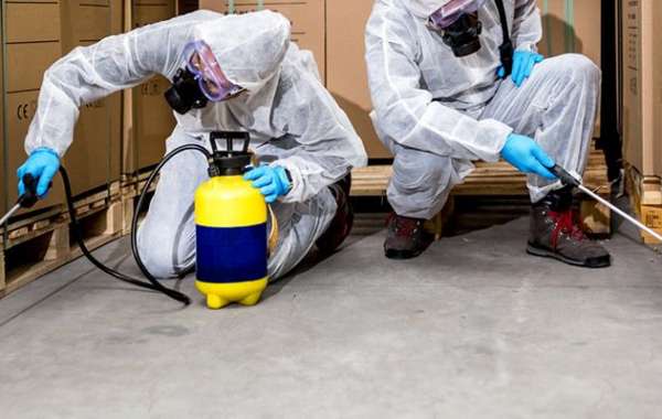 Pest Control – Fast & Reliable Extermination