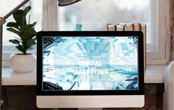 Website Design & Development Company Noida