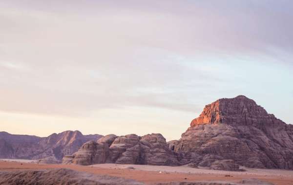 Why You Must Pick the Best Travel Agents In India For An Unforgettable Trip Around India?