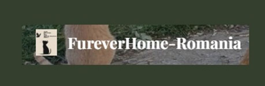 Furever Home Romania Cover Image