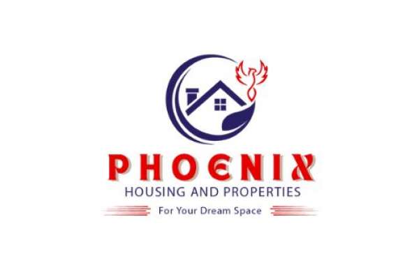From Dreams to Reality: The Ultimate Guide to Choosing Plot Promoters!