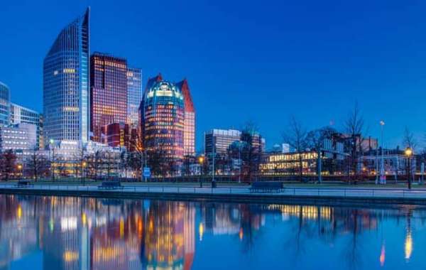 How Japanese Entrepreneurs Can Thrive in the Netherlands with the DJTT Visa