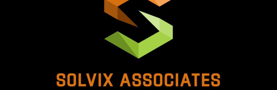 Solvix Associates Cover Image