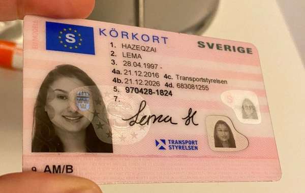 The Future of Mobility: Online Driving Licenses