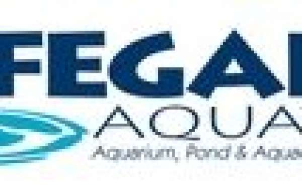 The Importance of Regular Aquarium Maintenance for Fish Health