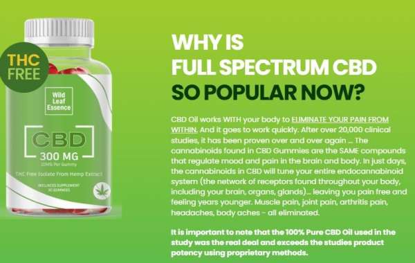 Wild Leaf Essence CBD 300mg: How It Works, Its Uses, and Pricing in USA
