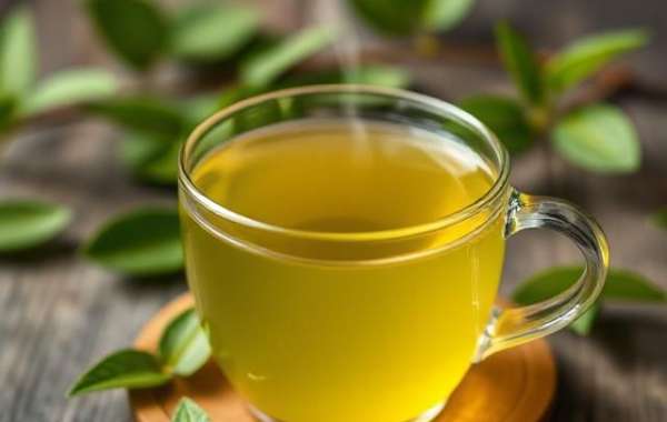 Best Herbal Tea: Nourish Your Health with Herbal Green Tea