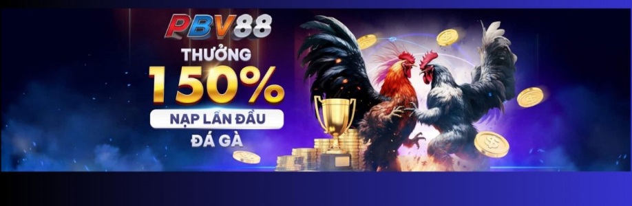 Nhà Cái PBV88 Cover Image
