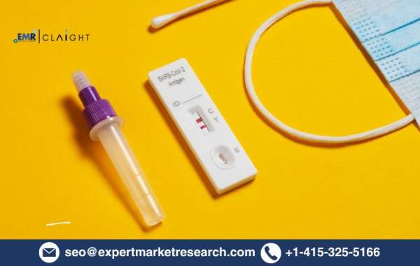 Rapid Tests Market Trends: Global Size, Share & Future Outlook | 2034