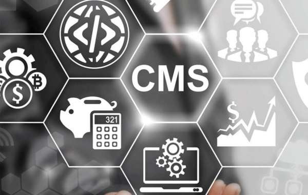 Digital Marketing Agency in India: Xelogic Solutions Leads the Way