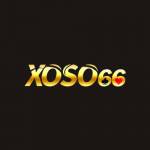 Xoso66 Cổng Game Lô Đề Profile Picture