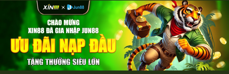 Xin88 Com Cover Image