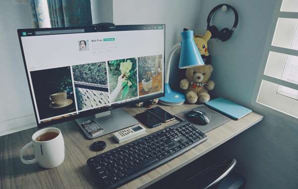 Website Development Company in Delhi: Your Gateway to Digital Success