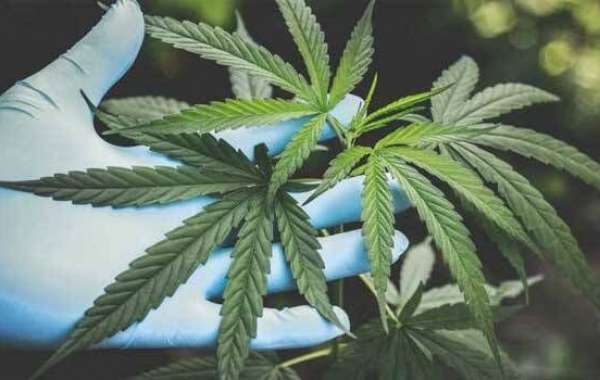 Rolling Hills Hemp™ Better Ingredients, Better You with Rolling Hills Hemp! ?⚡