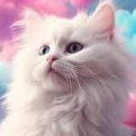optovkin Profile Picture