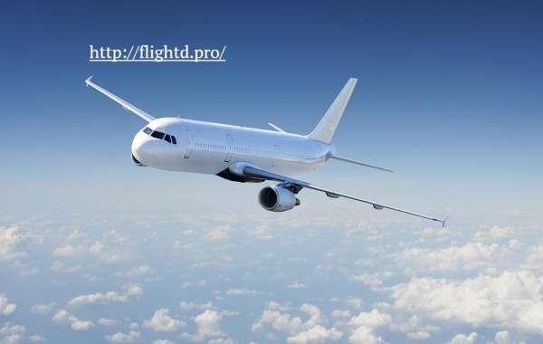 Flightd: Your Gateway to the Skies – Everything You Need to Know About Flights