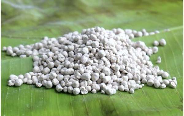 The Role of Silicon Fertilizer in Combating Abiotic and Biotic Stresses