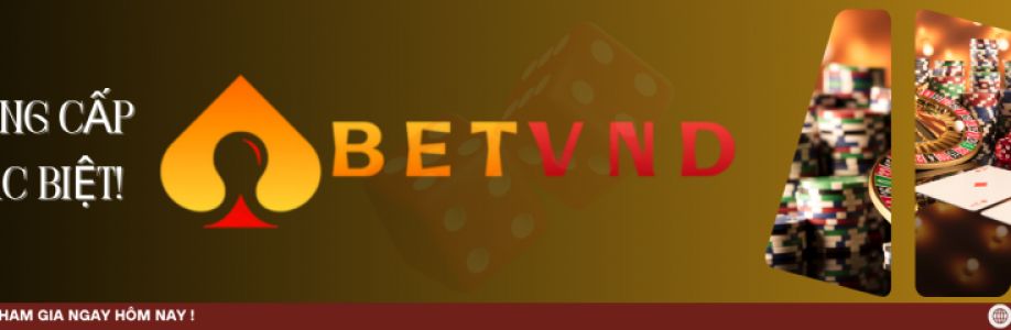 betvnd nhà cái Cover Image