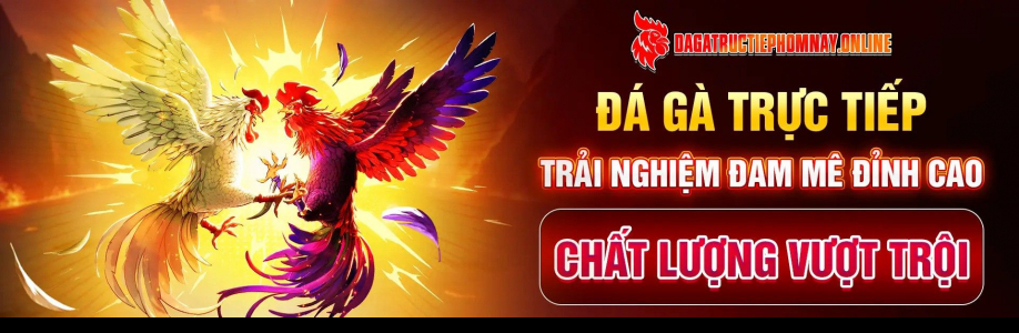 dagatructiephomnayonlinne online Cover Image
