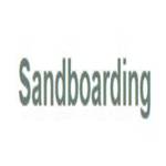 Dubai sandboarding Profile Picture