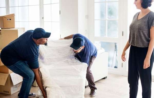 Reliable Dubai Cargo Services for Safe Shipping to New Zealand