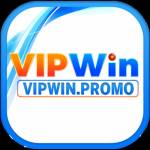 VIPWIN promo Profile Picture